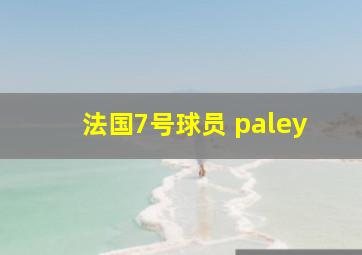 法国7号球员 paley